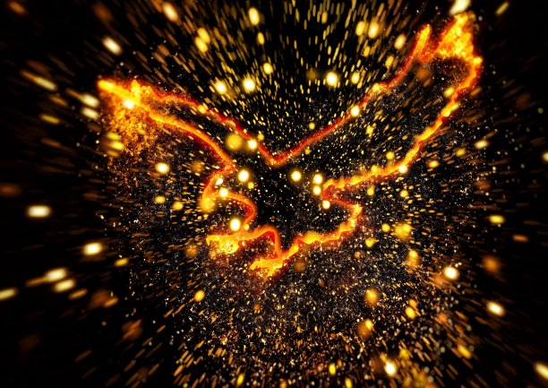 金红色凤凰插画