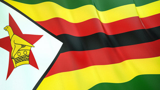 zimbabwean
