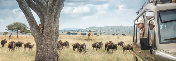 tanzania