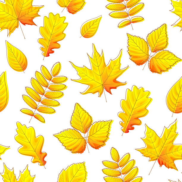 多彩枫叶无缝图案矢量背景