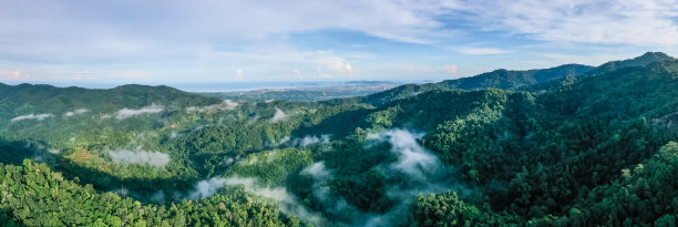 borneo