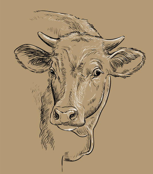 奶牛形象logo