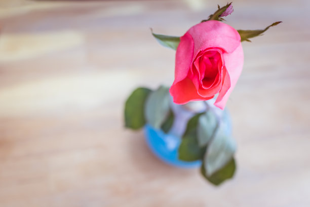 红色婚礼花艺素材