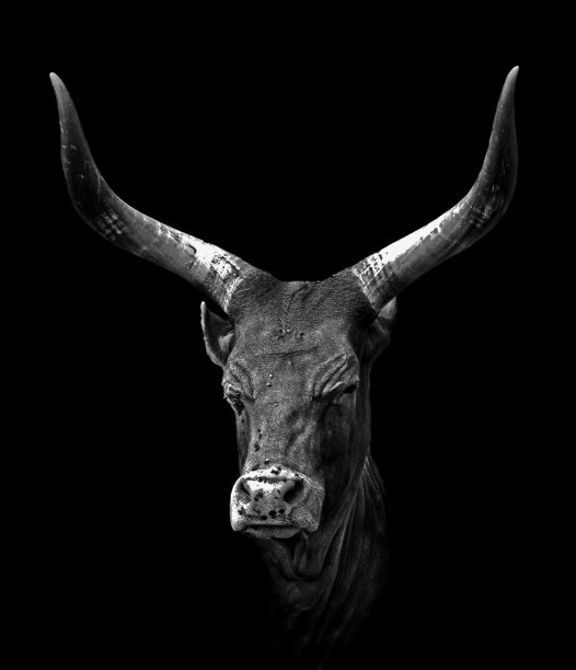 horned