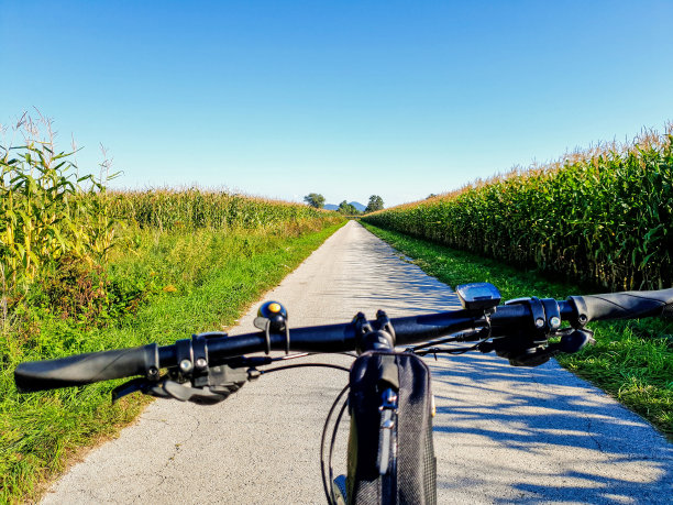 乡村道路草坪一点透视