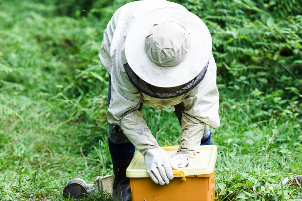 beekeeper