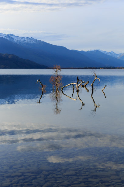 hawea