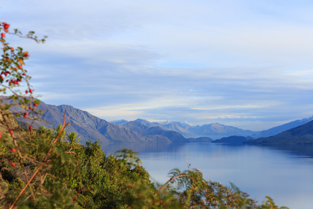 hawea