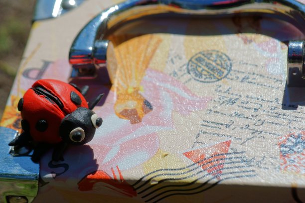 发光眼睛生物特写