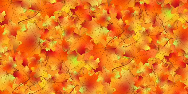 多彩枫叶无缝图案矢量背景