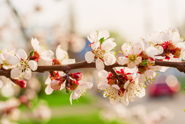 march