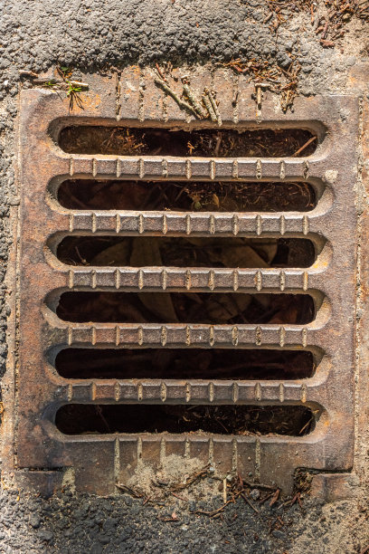 ditch