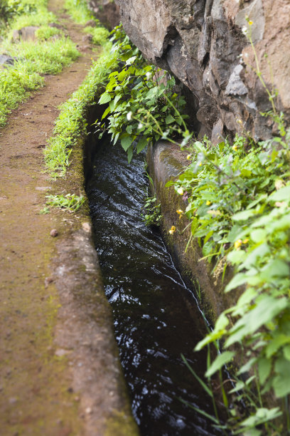 ditch