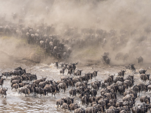 tanzania