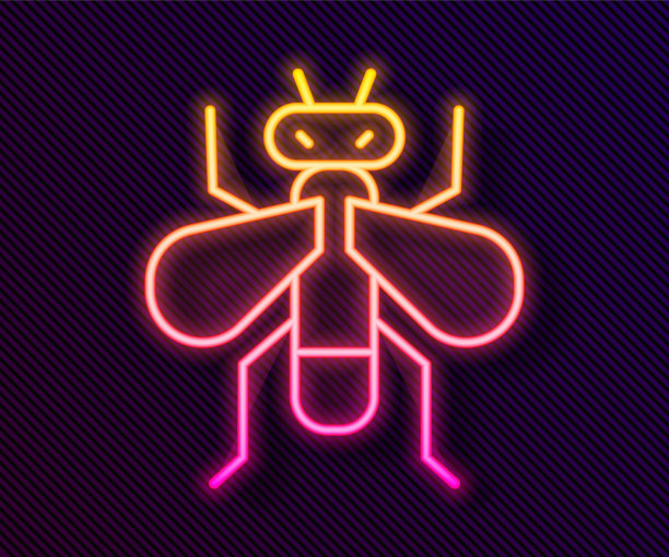 发光眼睛生物特写