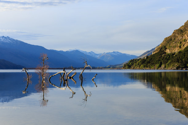 hawea
