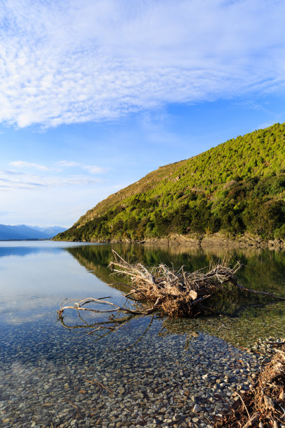 hawea