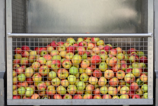 苹果透明背景素材