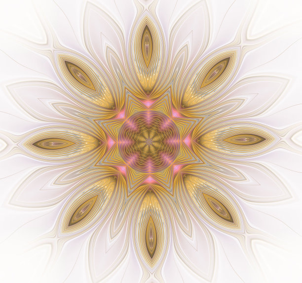 精美对称圆形花纹图案