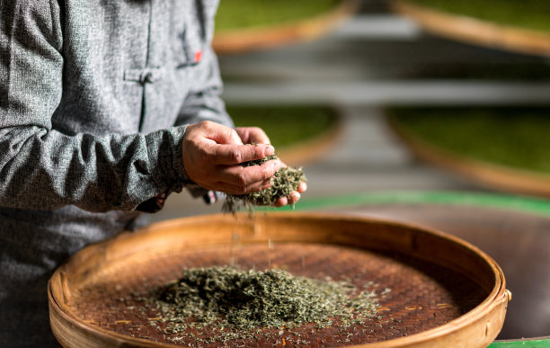 制茶人物图
