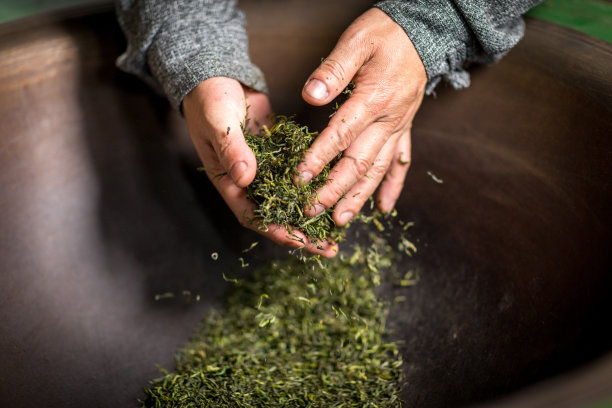 手工制茶