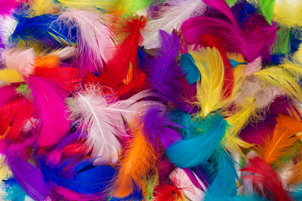 preen