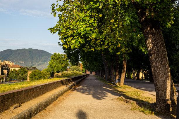 lucca