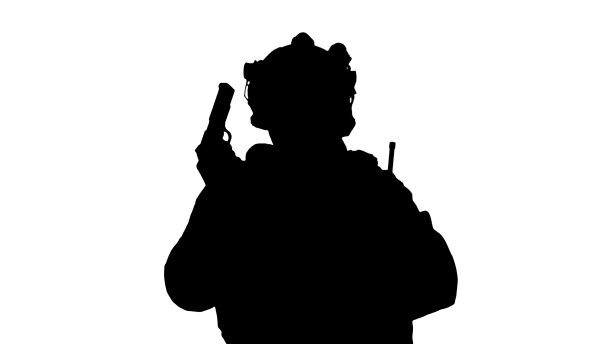 sas