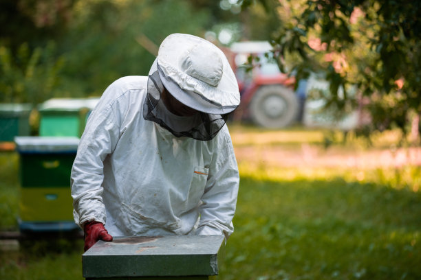 beekeeper