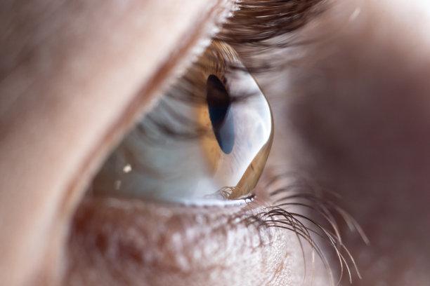 retina