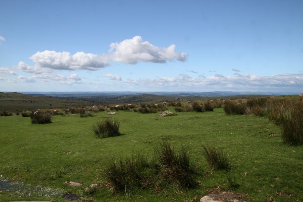 heath