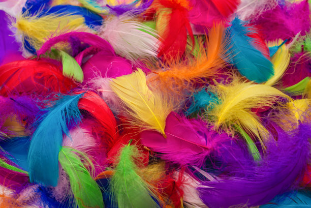 preen