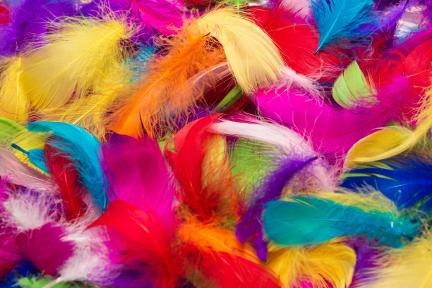 preen