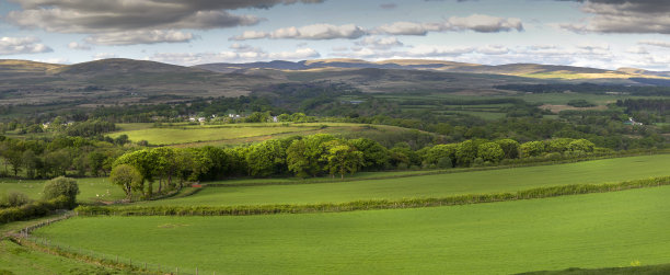 powys