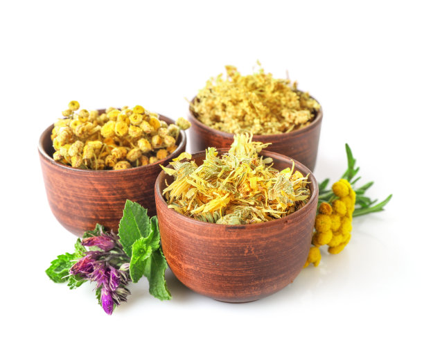 tanacetum