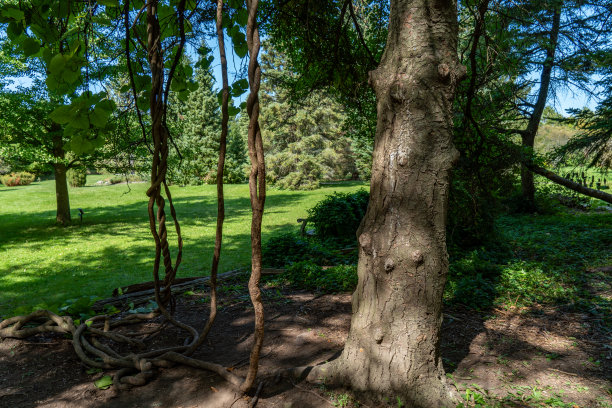 arboretum