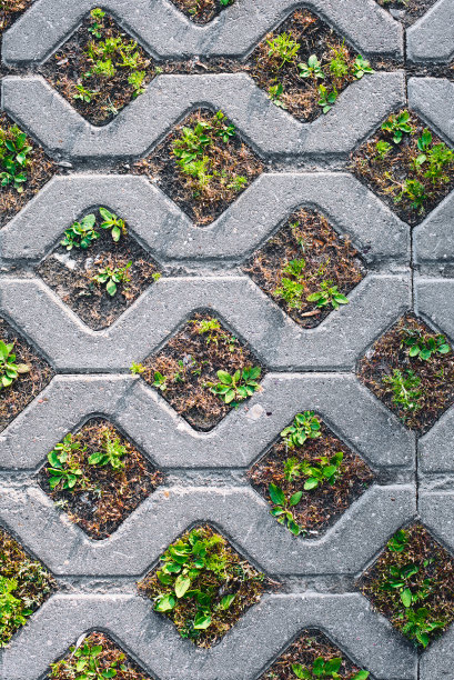 清新绿色方块背景图案