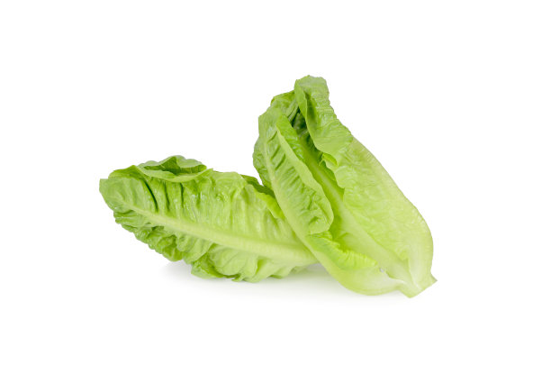 romaine