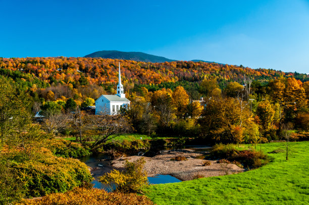 vt