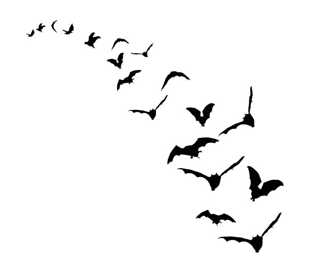 bat
