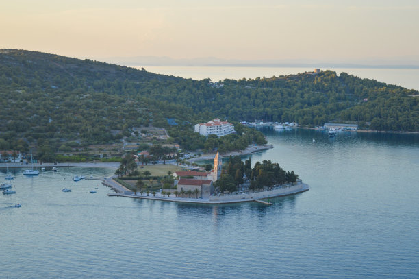 vis