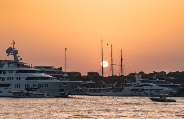 cervo