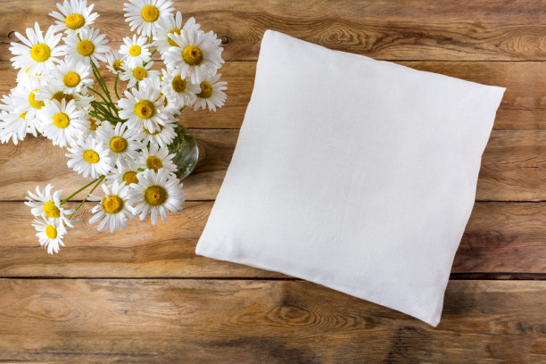cushion