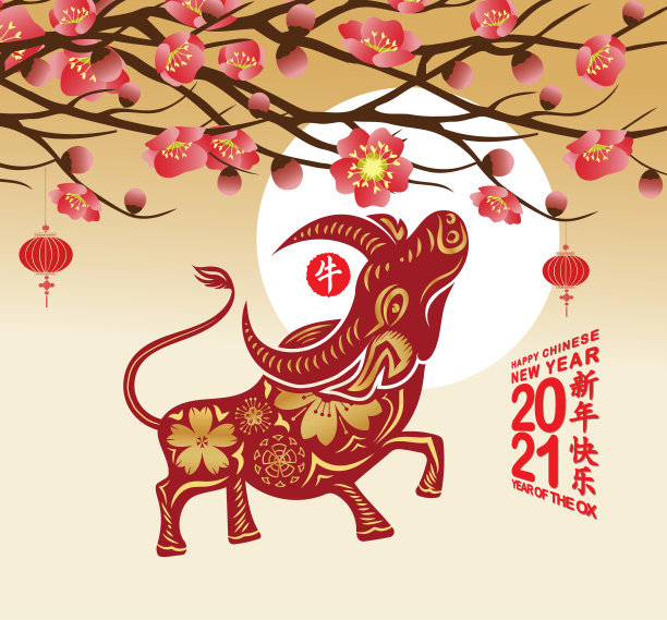 可爱的,越南,请柬
