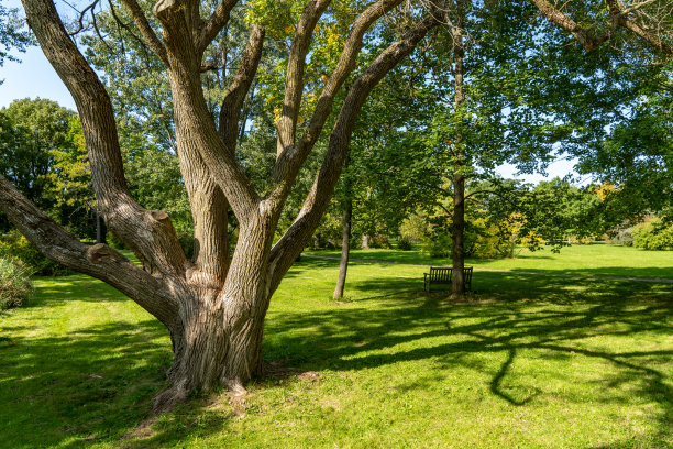 arboretum