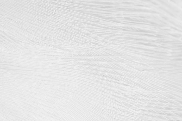 绚丽多彩的流动纹理图案