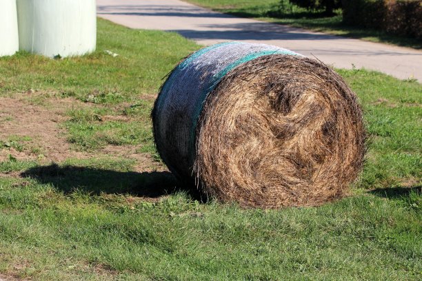 bale