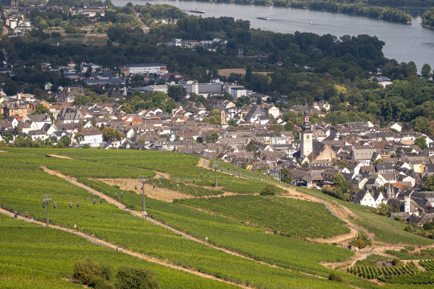 rudesheim