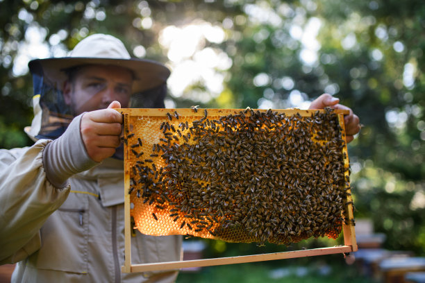 beekeeper