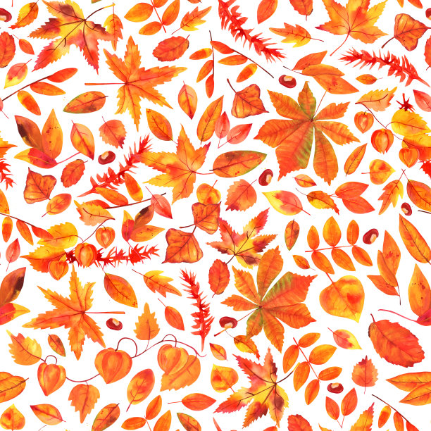 多彩秋季枫叶无缝图案